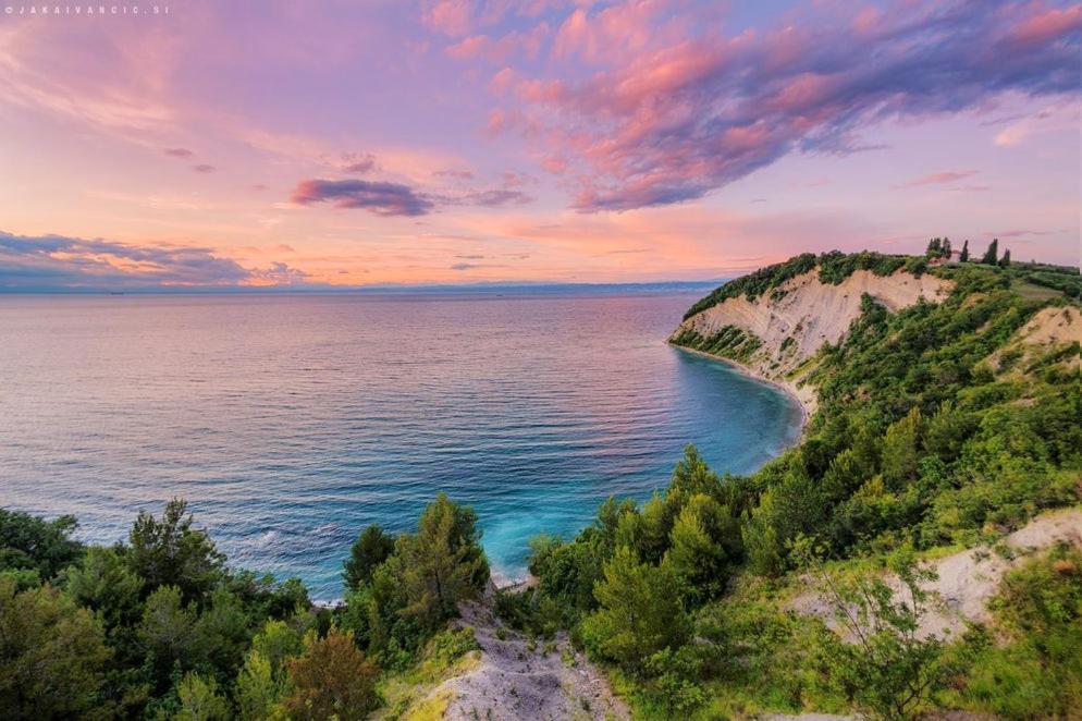 Vila Skolka Studio Portorož Exterior foto